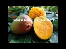 Rodrigue Marcel Do Champagn 1988 Zouk Retro Souveniw Zouk Rodrigues Marcel
