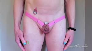 Kitty Clip Mini V2 - Fitting Guide. Clips and straps available from  emmasplace.online 🩷