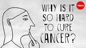 The menveo vaccine, for example, is given to people around the world, often children, to prevent bacterial meningitis. Why Is It So Hard To Cure Cancer Kyuson Yun Youtube