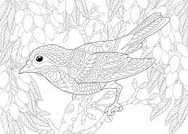 It's true, i have a lot o. Coloring Page With Bird In The Garden Stock Vector Illustration Of Canary Adult 164162585