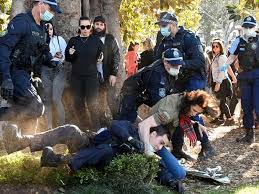 Michael daley and chris minns likely to battle it out to be nsw labor leader. Nsw Lockdown Protests Police Horse Punched Dozens Arrested The West Australian