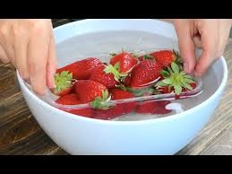 We did not find results for: How To Keep Strawberries Fresh Longer Youtube