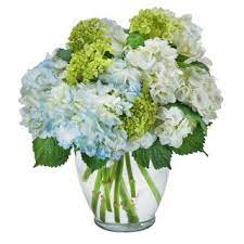 Order flowers online from a local flower shop in jackson, ms. Best Sellers Flower Delivery Jackson Ms Whitley S Flowers Jackson Ms Best Sellers Flowers