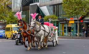 Victoria Horse Drawn Carriage Stock ...
