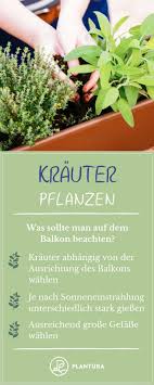 Krauter Pflanzen Tipps Fur Balkon Beet Plantura Planting Herbs Herbs Growing Herbs