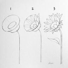 Epingle Sur Mes Fleurs Preferees