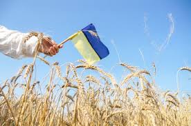 День конституції україни щороку відзначають 28 червня. Flag Ukrainy Stokovye Foto Izobrazheniya Skachat Flag Ukrainy Kartinki Na Depositphotos