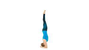 Supported Headstand Inversions Yoga Poses Headstand Yoga Inversions
