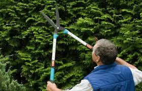 Maybe you would like to learn more about one of these? Helikopter Elektrik Dan Manual Untuk Memotong Rumput Bunga Dan Semak