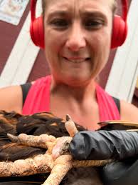 Is this bumblefoot and how to treat it?