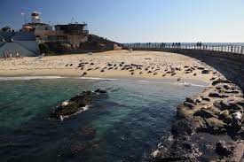 Ships free orders over $39. Children S Pool Beach La Jolla Ca California Beaches