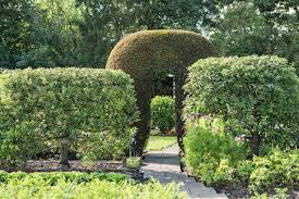 Gesunde früchte aus eigenem anbau. Sichtschutz Ideen Fur Den Garten Sichtschutz Ideen Garten Ideen Sichtschutz Garten