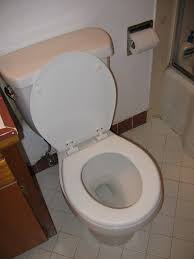 Moments later a loud crash was heard and he was found dead, apparently due to an aortic aneurysm. My 1976 Toilet That Elvis Shitted And Died On While Playing A Telecaster Guitarcirclejerk