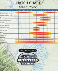 Teton River Hatch Chart Trr Outfitters