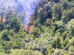 Menurut kenyataan jpnp hari ini, peruntukan dianggarkan berjumlah rm10 juta akan digunakan. Hutan Simpan Di Perak Terbakar