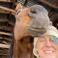 I painted these plywood kitchen cabinets to the original white color. I  decided to keep the upper doors off for now and love how it looks and  works! (The home was built