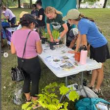 Lights, camera, action: A sneak peek into Calvin's spring film showcase