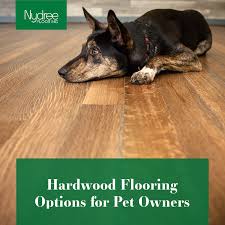 Pin On Pet Friendly Home Design