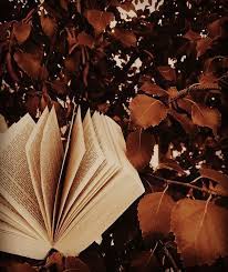 Check spelling or type a new query. Fall Scents Aesthetic Colors Brown Aesthetic Autumn Aesthetic