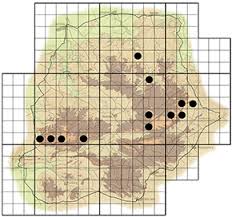 Image result for Secamone alpini