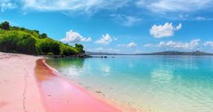 Segera cek harga tiket pp dan jadwal penerbangan jakarta ke medan dan rencanakan perjalananmu bersama tiket.com! Pantai Pink Fasilitas Rute Jam Buka Harga Tiket Dan Daya Tarik Tempat Me