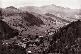 Dosare procese pe rol inregistrate in anul 2020, publicate de instanta de judecata judecătoria câmpulung moldovenesc. Povestea AsezÄƒrilor Bucovinene RevÄƒzutÄƒ Campulung Moldovenesc Dragusanul Ro