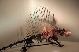 Its diet could have included freshwater sharks, amphibians, reptiles and other amniotes. Dimetrodon Dinosaurier Skelett Kostenloses Foto Auf Pixabay