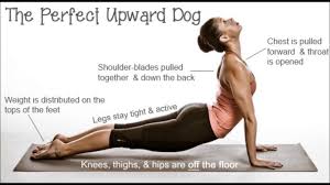 Place the sole of the feet on the inner thigh of the opposite (left). How To Increase Height After 18 Youtube