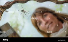 Lucy cooke hi-res stock photography and images