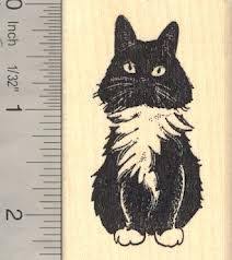 Black And White Tuxedo Cat Clipart Looks Like Bebee Black And White Long Haired Tuxedo Cat Cat Illustration Cat Painting Cat Drawing