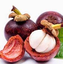 Cair obat tradisional kulit buah manggis. Cair Obat Tradisional Kulit Buah Manggis Cara Membuat Jus Kulit Manggis Untuk Obat Tbc Resep Kalium Merupakan Komponen Penting Dari Sel Dan Cairan Tubuh Untuk Membantu Mengontrol Detak