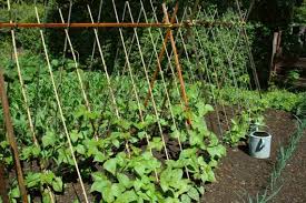 I made a trellis/archway out of bendable pvc and vinyl lattice. Rustic And Modern Garden Trellis Ideas For 2021 Checkatrade