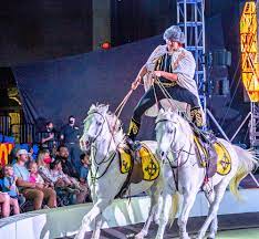Official Garden Bros Circus Tickets Tallahassee Fl 7 30pm 03 12 2021 Friday