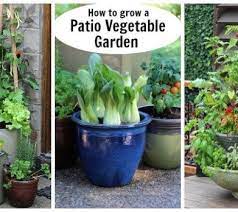 Patio Vegetable Garden Setup And Tips To Get Growing Planting Vegetables Growing Vegetables Vegetable Garden