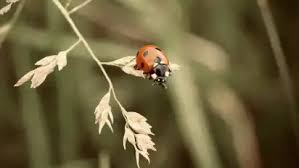 OHZ LIVE-Fotowettbewerb in Osterholz: Gewinnerinnen stehen fest
