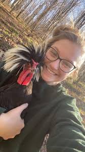 Just got some babies! Should I just put them in the brooder or try giving  them to my silkie? Is it hard to get them to accept them? 2 polish and 1