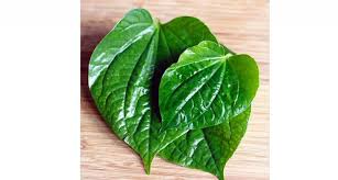 Untuk mendapat khasiat daun sirsak sebagai pengobatan kanker, rebuslah 10 daun sirsak dalam takaran 3 gelas air sampai menjadi satu cangkir air saja, saring, kemudian dinginkan dan minum ramuan ini setiap pagi selama 3 sampai 4 minggu untuk mendapat khasiat air rebusan daun sirsak. Kebaikan Daun Kaduk Untuk Penghadaman Lelaki Maskulin