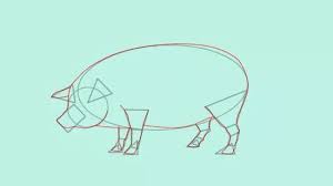 How to draw > how to draw a pig. How To Draw A Pig 14 Steps With Pictures Wikihow