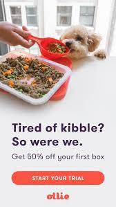 Meet Ollie Human Grade Dog Food Tailored To Your Dog S Individual Needs Delivered Straight T Dog Food Recipes Human Grade Dog Food Healthy Dog Food Recipes