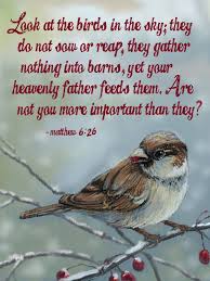 Birds Of The Air Pin On Favorite Quotes