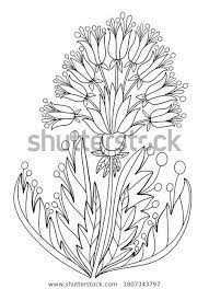 trouvez des images de stock contour coloration la plante en hd et millions d autres photos i image vectorielle croquis fleurs dessin coloriage conception graphique livre couleur