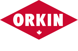 Purchase book reviews related tags help with statistics homework online online research writing jobs from canada pay someone write my paper cheap buy speech outline ready essays online buy a dissertation. Orkin Canada Pest Wildlife Control Services