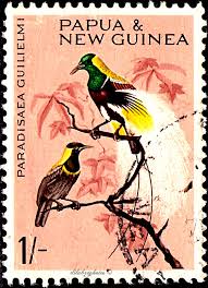 Papua New Guinea Bird Of Paradise Drawing Pin On Birds On Stamps