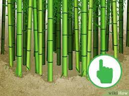 Check out our bamboo garden stakes selection for the very best in unique or custom, handmade pieces from our garden decoration shops. 3 Ways To Cut Bamboo Wikihow