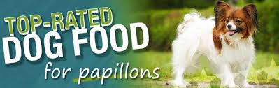 What Is The Best Dog Food For A Papillon