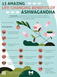 Pin On Dr Seeds Health Infographics