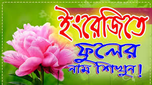 Add a autumn leaf trail every 4 hours. Flowers Name English To Bangla Word By It Future Youtube