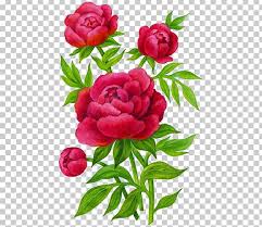 Peonies, a strawberry, and a field easel. Garden Roses Peony Flower Child Lilium Png Clipart Annual Plant Child Color Cut Flowers Embroidery Free