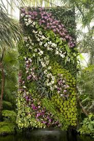 Vor allem im winter kann ein vertikaler garten in den eigenen vier wänden nicht nur für lebendige atmosphäre sorgen ein sehr kreativer weg seinen vertikalen garten selber aufzubauen! 1001 Ideen Zum Thema Vertikaler Garten Mit Praktischen Tipps
