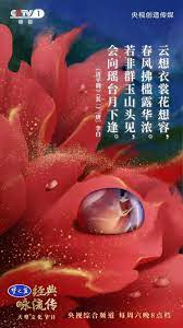 開學必修課 央視把57首詩詞做成了歌曲 中小學課本都會學到 轉 中國教育在線 微文庫 chinese poem magazine design chinese art